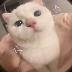 AnDy
