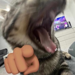Fuckk