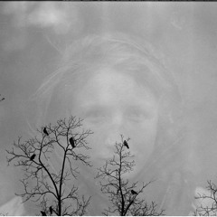 shadow