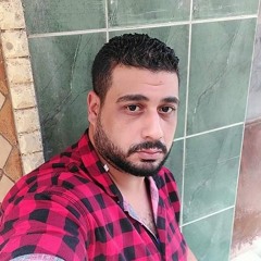 اسلام البلبيسي