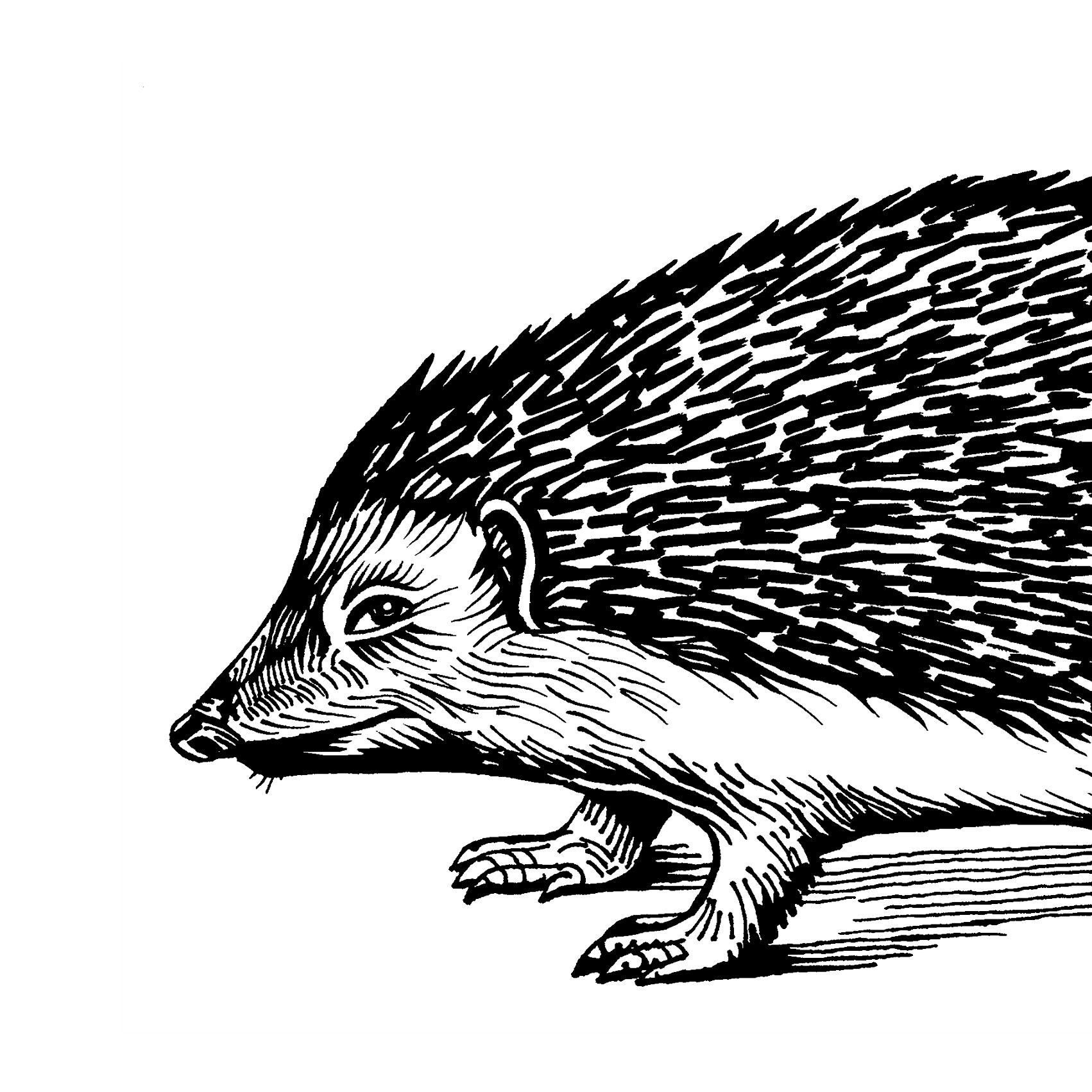 The Hedgehog Review