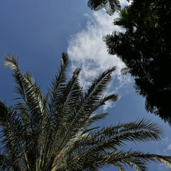 Khaled