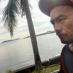 Hafiz Apis Mohdhafiz
