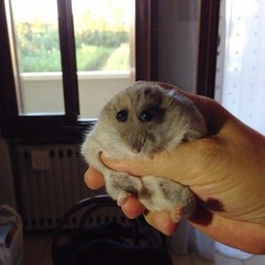 tyfvute