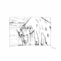 une hyène recouverte de miel