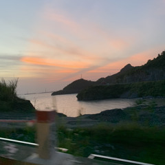 Tuệ Tài Phạm