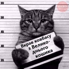 група Тіпо4ки