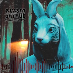 Savage Sound