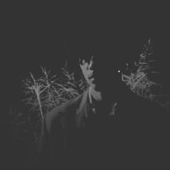 Ninety5ToxicWRLD read bio