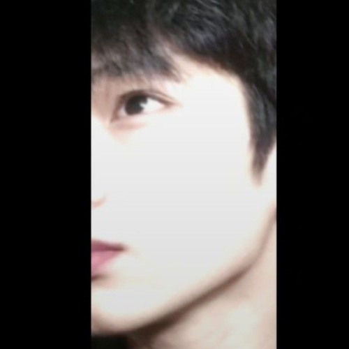 缘为冰 (2024).opus