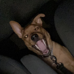 bababooey