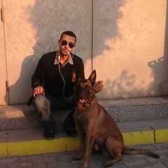 Alaa Hoksha