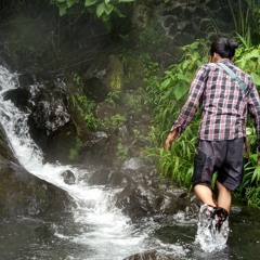Ari Insomia