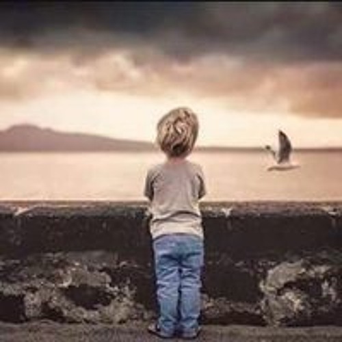 شكر الله عز الدين
