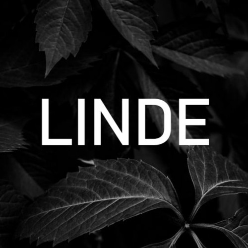 LINDE’s avatar