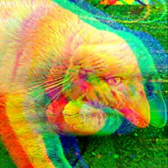 IvanHardCore