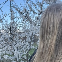 лависочка