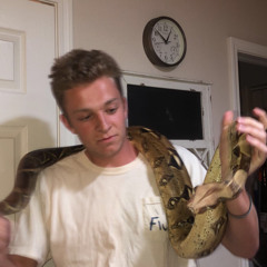 Ljj