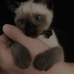 catrica