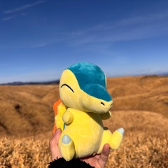 wintercyndaquil