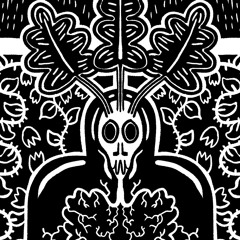 Black Radish
