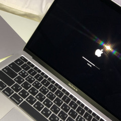 ɴᴏɪʀ