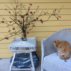 Yellow House Feldenkrais