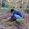 gapur ⍣