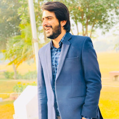 imam tareen