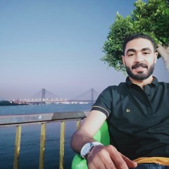 Mahmoud Fawzy