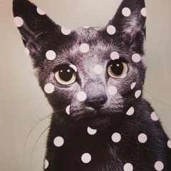 ୨୧⊹sɪʟʟʏᴋɪᴛᴛʏ⊹୨୧