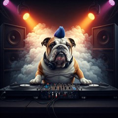 BELGIÄNDOG [BR]
