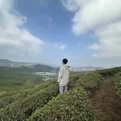 thn lee