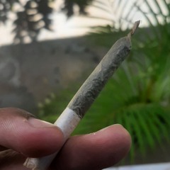 Frota Cardoso