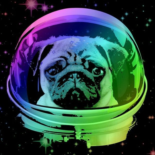 AstroPug22’s avatar
