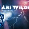Ari Wilde