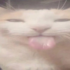 urmom
