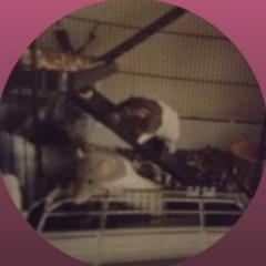 The_Ratfather