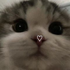 N🦦