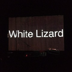 White Lizard