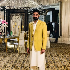 saleem khan