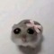 urfqv_saska