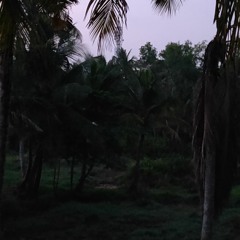 Sarath Sabu