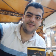 mohamed elgohary91