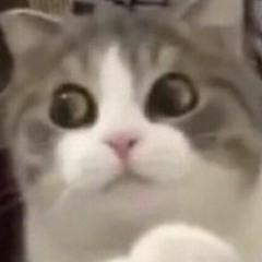 5463999