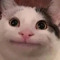 불주먹