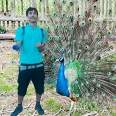 pomarancc