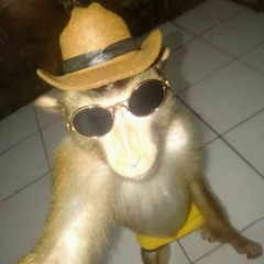 woutw