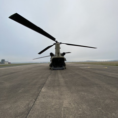 Calisthenics x Gymtok