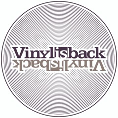 Vinyl is Back Festival